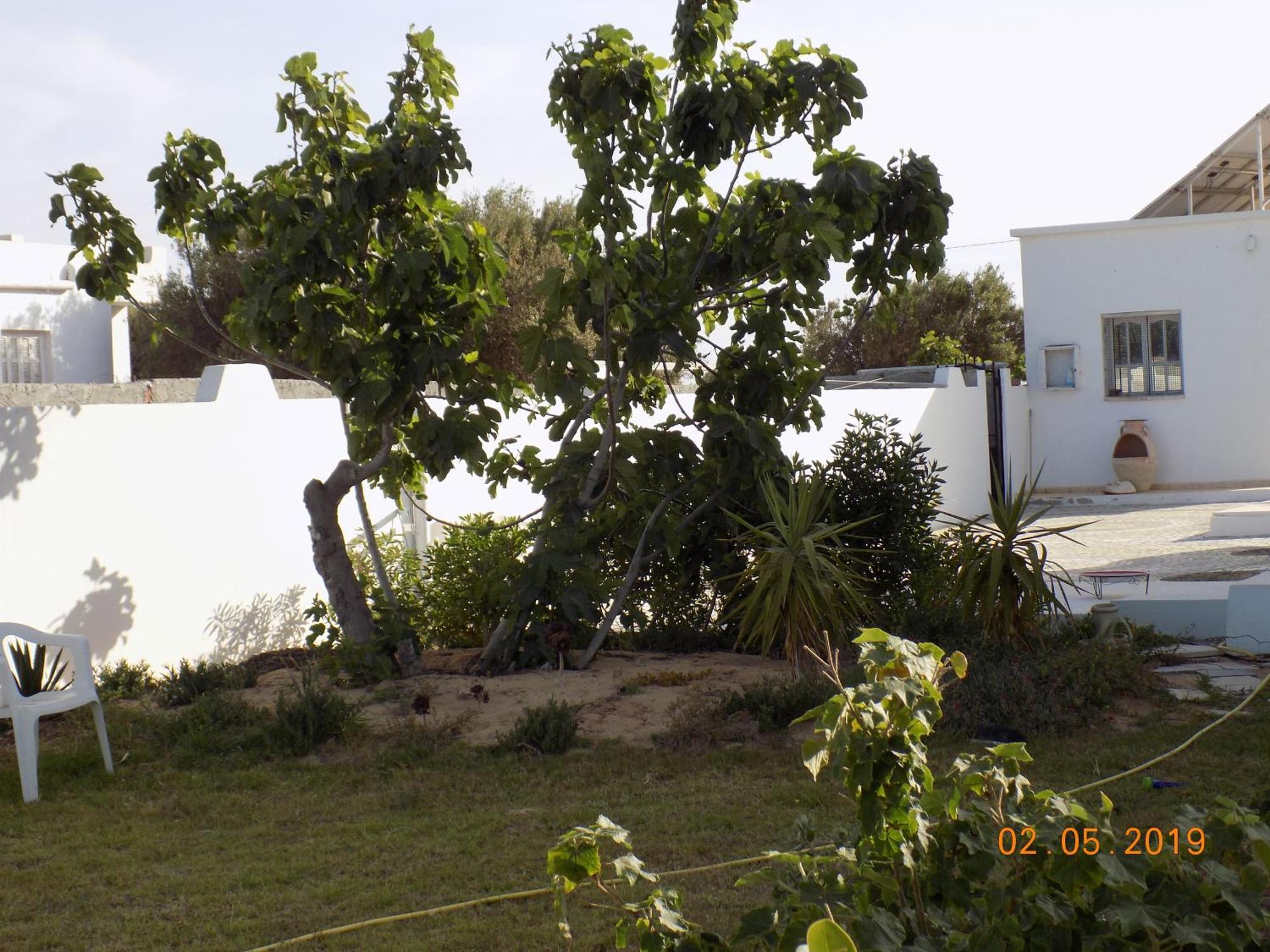 Dar Mamina Bed & Breakfast Sidi ash Shammakh ภายนอก รูปภาพ