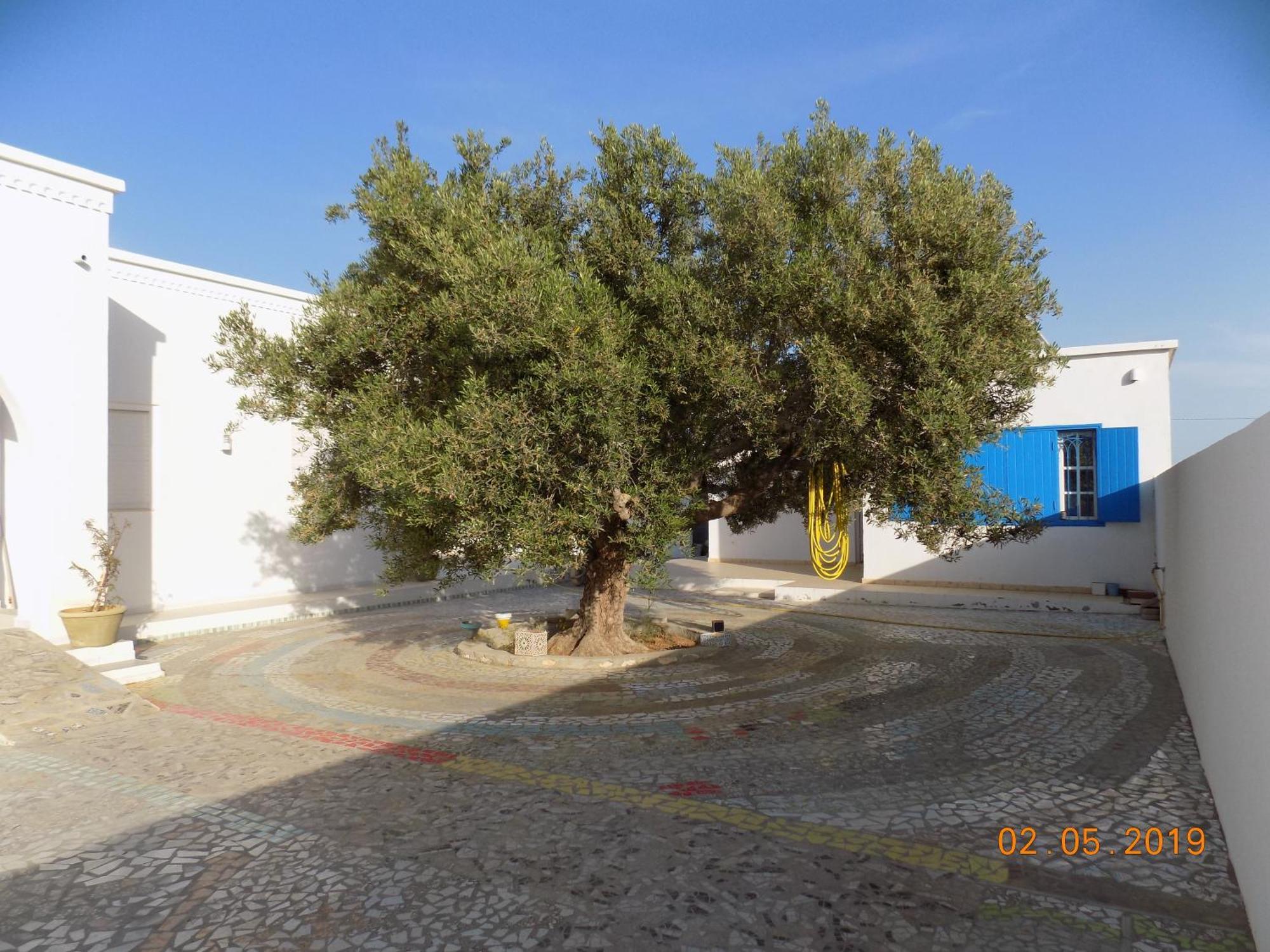 Dar Mamina Bed & Breakfast Sidi ash Shammakh ภายนอก รูปภาพ