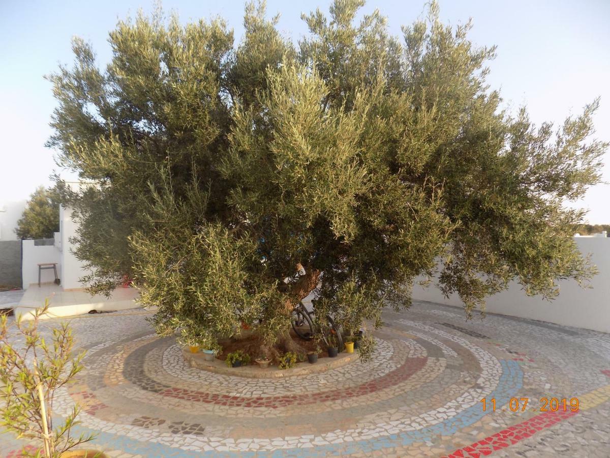 Dar Mamina Bed & Breakfast Sidi ash Shammakh ภายนอก รูปภาพ